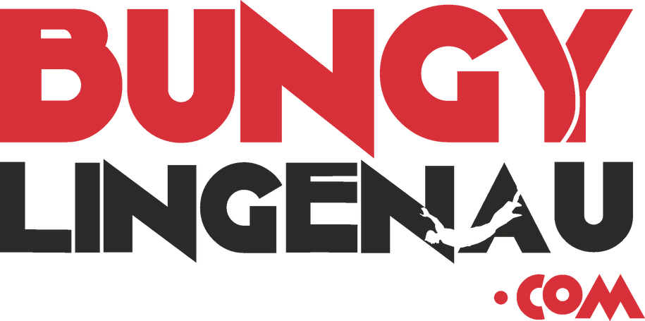 vendor_logo